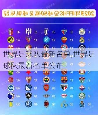 世界足球队最新名单,世界足球队最新名单公布