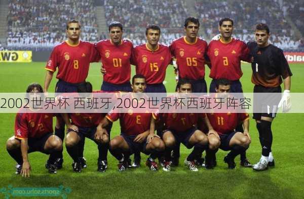 2002世界杯 西班牙,2002世界杯西班牙阵容