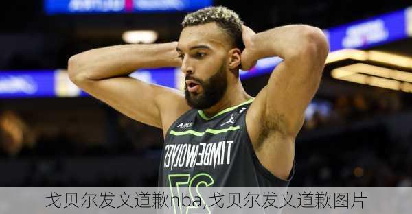 戈贝尔发文道歉nba,戈贝尔发文道歉图片