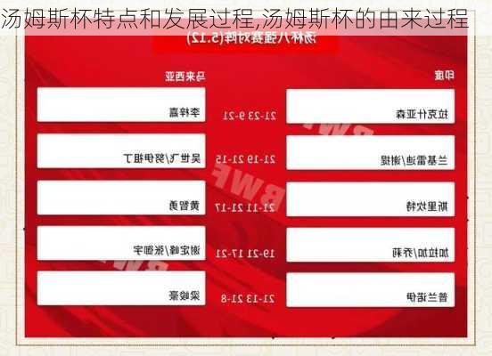 汤姆斯杯特点和发展过程,汤姆斯杯的由来过程