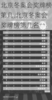 北京冬奥会奖牌榜第几,北京冬奥会奖牌榜第几名