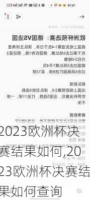 2023欧洲杯决赛结果如何,2023欧洲杯决赛结果如何查询