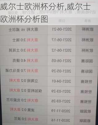 威尔士欧洲杯分析,威尔士欧洲杯分析图