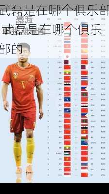武磊是在哪个俱乐部,武磊是在哪个俱乐部的
