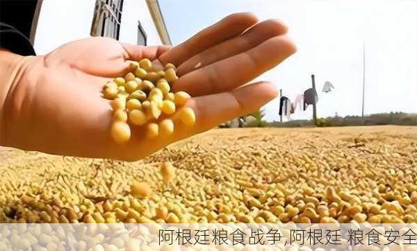 阿根廷粮食战争,阿根廷 粮食安全