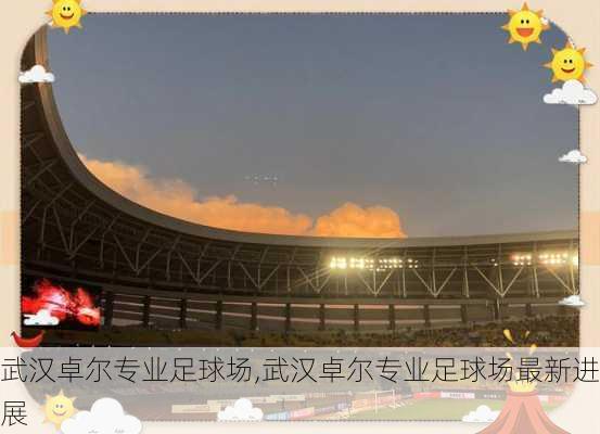 武汉卓尔专业足球场,武汉卓尔专业足球场最新进展