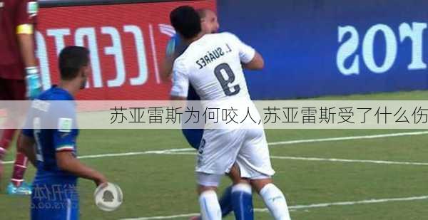 苏亚雷斯为何咬人,苏亚雷斯受了什么伤