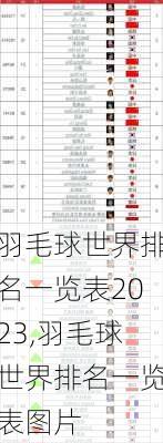 羽毛球世界排名一览表2023,羽毛球世界排名一览表图片