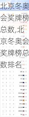 北京冬奥会奖牌榜总数,北京冬奥会奖牌榜总数排名