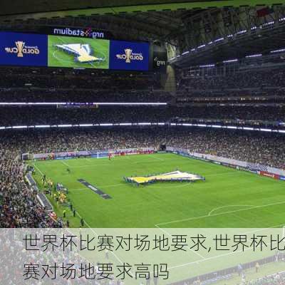 世界杯比赛对场地要求,世界杯比赛对场地要求高吗