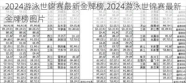 2024游泳世锦赛最新金牌榜,2024游泳世锦赛最新金牌榜图片