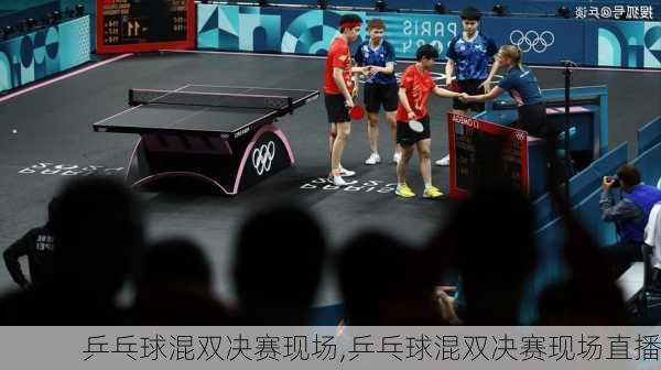 乒乓球混双决赛现场,乒乓球混双决赛现场直播