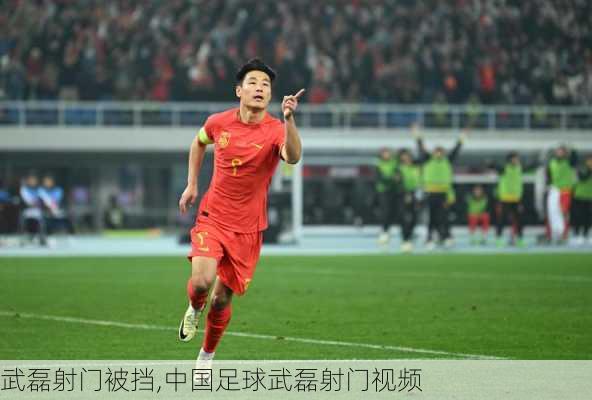 武磊射门被挡,中国足球武磊射门视频