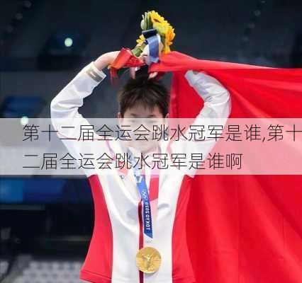 第十二届全运会跳水冠军是谁,第十二届全运会跳水冠军是谁啊