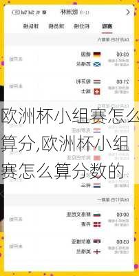 欧洲杯小组赛怎么算分,欧洲杯小组赛怎么算分数的