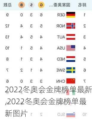 2022冬奥会金牌榜单最新,2022冬奥会金牌榜单最新图片
