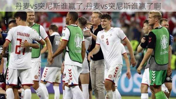 丹麦vs突尼斯谁赢了,丹麦vs突尼斯谁赢了啊