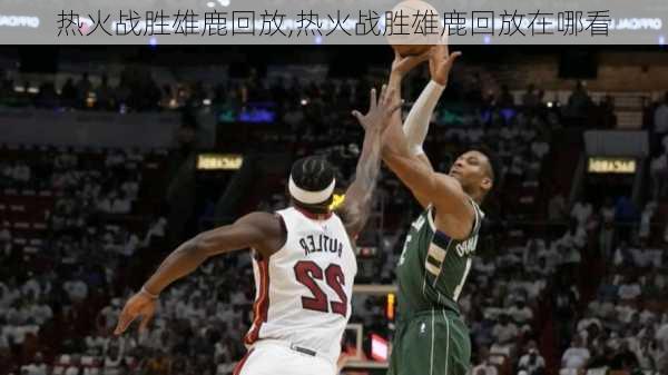 热火战胜雄鹿回放,热火战胜雄鹿回放在哪看