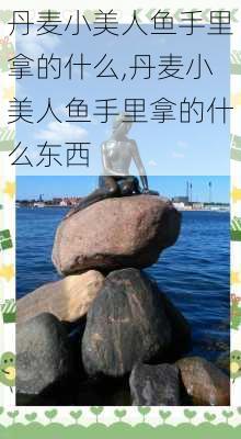 丹麦小美人鱼手里拿的什么,丹麦小美人鱼手里拿的什么东西