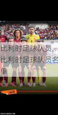 比利时足球队员,比利时足球队员名单