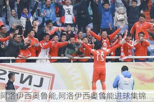 阿洛伊西奥鲁能,阿洛伊西奥鲁能进球集锦