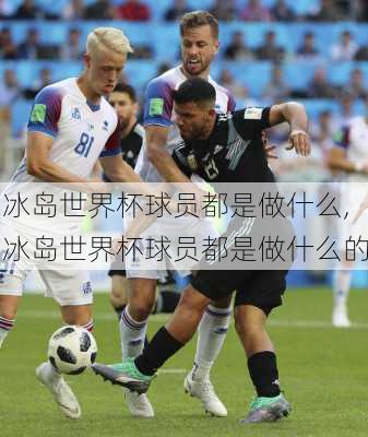 冰岛世界杯球员都是做什么,冰岛世界杯球员都是做什么的