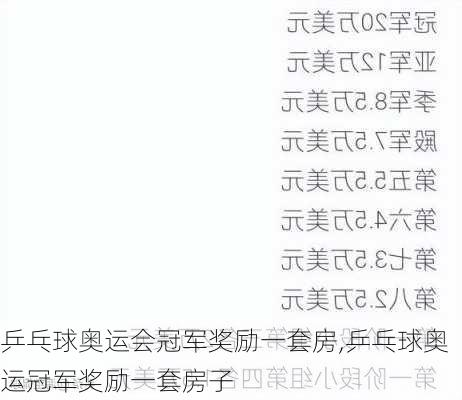 乒乓球奥运会冠军奖励一套房,乒乓球奥运冠军奖励一套房子