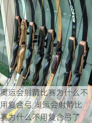 奥运会射箭比赛为什么不用复合弓,奥运会射箭比赛为什么不用复合弓了