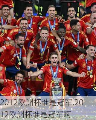 2012欧洲杯谁是冠军,2012欧洲杯谁是冠军啊