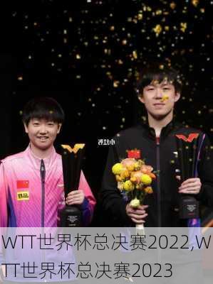 WTT世界杯总决赛2022,WTT世界杯总决赛2023