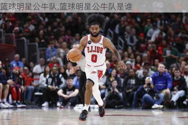 篮球明星公牛队,篮球明星公牛队是谁