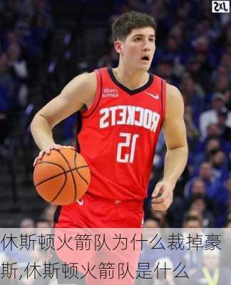 休斯顿火箭队为什么裁掉豪斯,休斯顿火箭队是什么