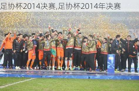 足协杯2014决赛,足协杯2014年决赛