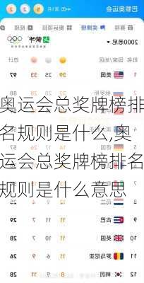 奥运会总奖牌榜排名规则是什么,奥运会总奖牌榜排名规则是什么意思