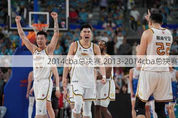 2014cba总决赛,2013-2014cba总决赛