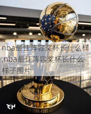 nba最佳阵容奖杯长什么样,nba最佳阵容奖杯长什么样子图片