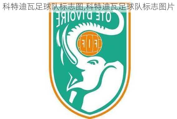 科特迪瓦足球队标志图,科特迪瓦足球队标志图片
