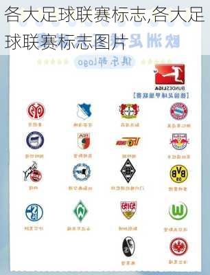 各大足球联赛标志,各大足球联赛标志图片