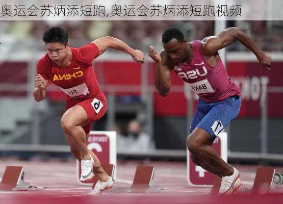 奥运会苏炳添短跑,奥运会苏炳添短跑视频