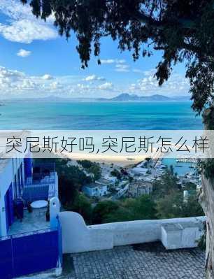 突尼斯好吗,突尼斯怎么样