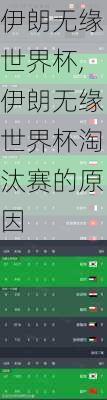 伊朗无缘世界杯,伊朗无缘世界杯淘汰赛的原因