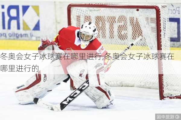 冬奥会女子冰球赛在哪里进行,冬奥会女子冰球赛在哪里进行的