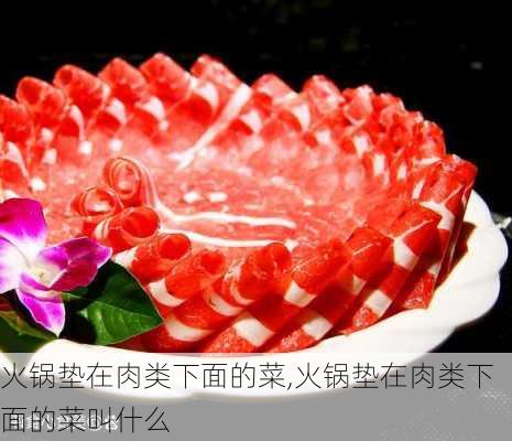 火锅垫在肉类下面的菜,火锅垫在肉类下面的菜叫什么