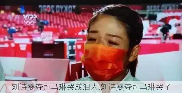 刘诗雯夺冠马琳哭成泪人,刘诗雯夺冠马琳哭了