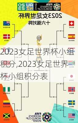 2023女足世界杯小组积分,2023女足世界杯小组积分表