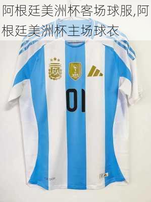 阿根廷美洲杯客场球服,阿根廷美洲杯主场球衣