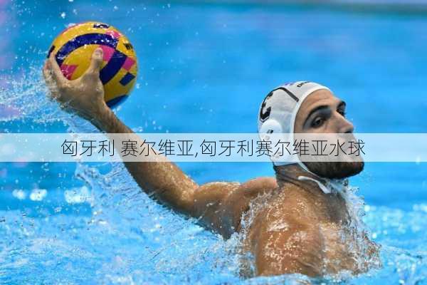 匈牙利 赛尔维亚,匈牙利赛尔维亚水球