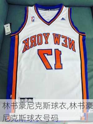 林书豪尼克斯球衣,林书豪尼克斯球衣号码