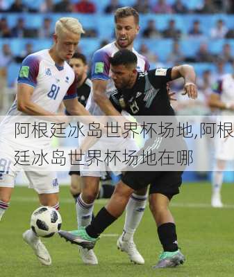阿根廷冰岛世界杯场地,阿根廷冰岛世界杯场地在哪
