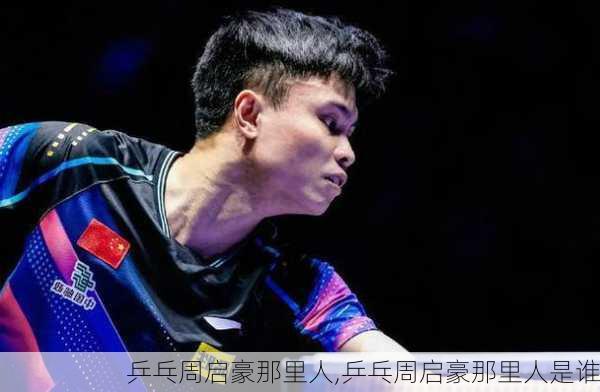 乒乓周启豪那里人,乒乓周启豪那里人是谁
